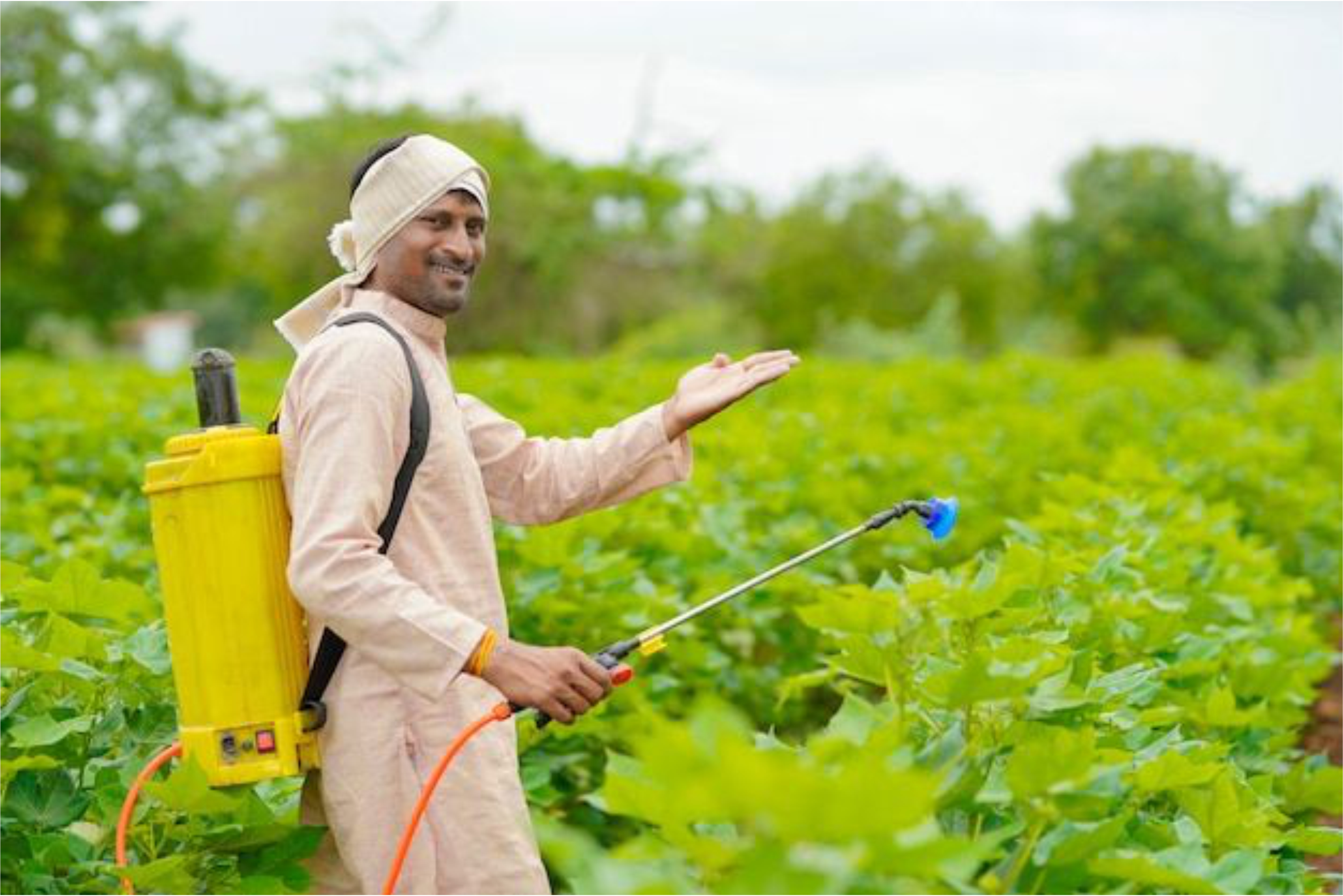 Foliar Spray Application
